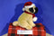 Demdaco Nat and Jules Christmas Pug 2012 Plush