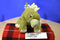 Animal Adventure Green Stegosaurus 2016 Plush