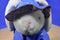 P J Toys White Bunny Rabbit in Vinyl Blue Rain Coat and Boots Plush