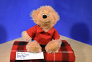 Berenstain Bears Brother Bear Plush