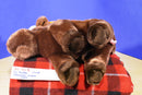 Ty Beanie Buddy Chocolate Moose 1999 Beanbag Plush