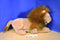 Disney Store Chronicles of Narnia Aslan Lion Plush