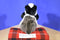 Kohl's Cares Gund Badger Plush