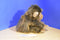 Ty Classic Cha Cha Brown Monkey 1998 Beanbag plush