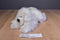 Novelty Toys Adopt-A-Dog White Dog 2010 Plush