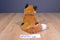 Ganz Webkinz Red Fox HM171 Beanbag Plush (No Code)