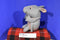 The Petting Zoo Bright Eyes Armadillo Plush