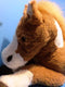 Goffa Brown and White Pinto Horse Plush