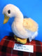 Chrisha Playful Plush Peach Duck 1988 Plush