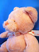 Baby Ganz Pink Blessings Teddy Bear Plush