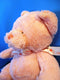 Baby Ganz Pink Blessings Teddy Bear Plush