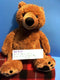 Kohl's Cares Mercer Mayer Little Critter Brown Teddy Bear Plush