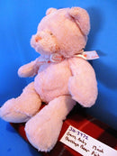 Baby Ganz Pink Blessings Teddy Bear Plush