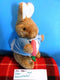 Eden Peter Rabbit 1989 Plush