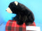 Ty Classic Forest Black Bear 2002 Beanbag Plush